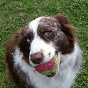 Meet your Posher, Jackie